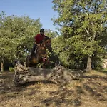 Country Mandra Edera