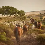 Country Mandra Edera Hotel Abbasanta