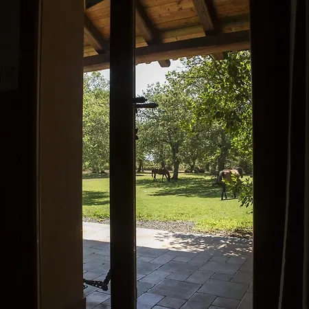 Country Mandra Edera 4*