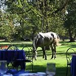 Country Mandra Edera Hotel 4*