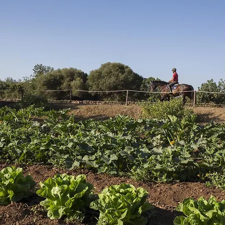 Country Mandra Edera Ξενοδοχείο Abbasanta