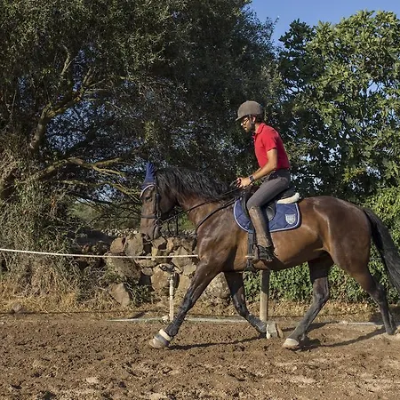 Country Mandra Edera Ξενοδοχείο 4*
