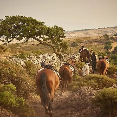 Country Mandra Edera Ξενοδοχείο Abbasanta