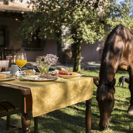 Country Mandra Edera Ξενοδοχείο 4*