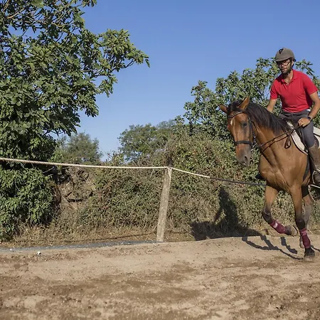 Ξενοδοχείο Country Mandra Edera 4*