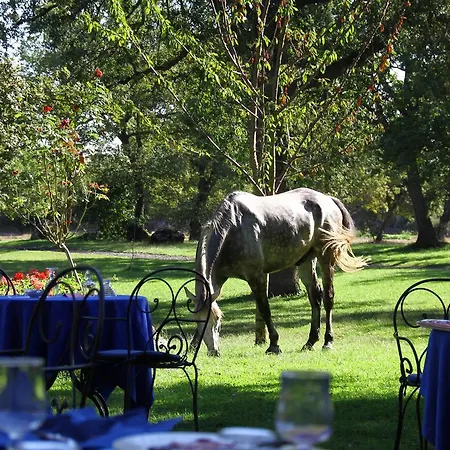 Country Mandra Edera Ξενοδοχείο 4*