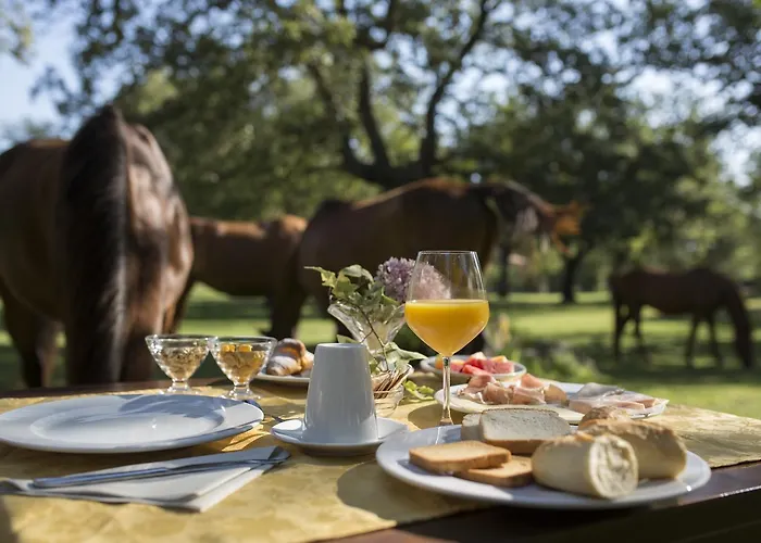 Szálloda Country Mandra Edera Abbasanta