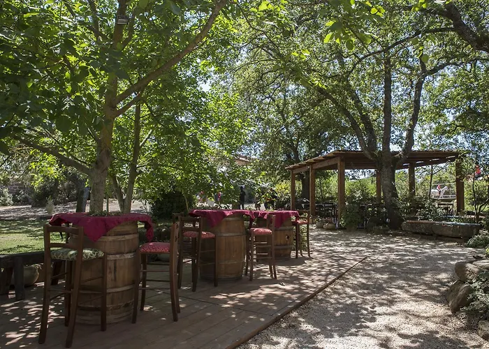 Country Mandra Edera Abbasanta